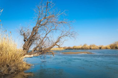 Bahar bozkırında nehir