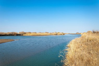 Bahar bozkırında nehir