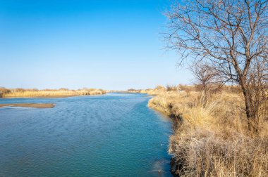 Bahar bozkırında nehir