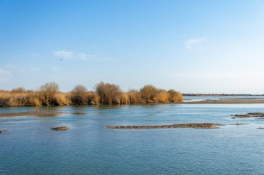 Bahar bozkırında nehir