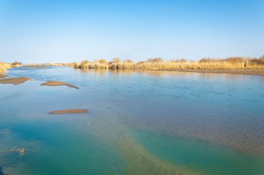 Bahar bozkırında nehir