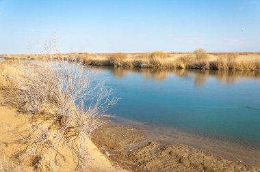 Bahar bozkırında nehir