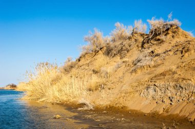 Bahar bozkırında nehir