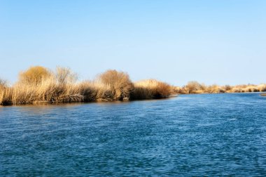 Bahar bozkırında nehir