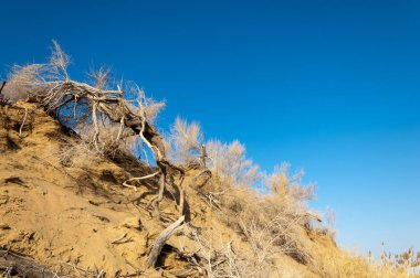 Bahar bozkırında nehir