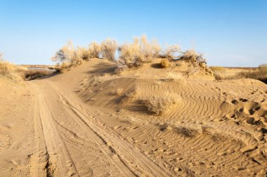 Bahar bozkırında nehir
