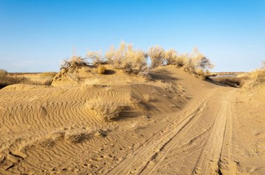 Bahar bozkırında nehir