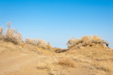 Bahar bozkırında nehir