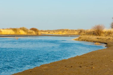 Bahar bozkırında nehir