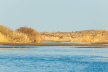 Bahar bozkırında nehir