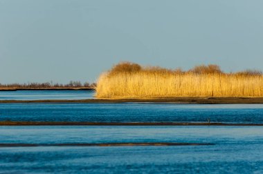 Bahar bozkırında nehir
