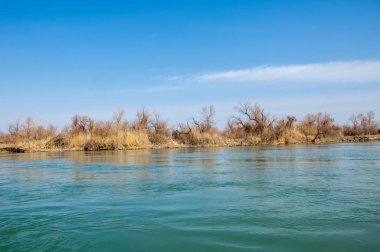Bahar bozkırında nehir