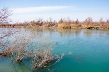 Bahar bozkırında nehir
