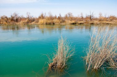 Bahar bozkırında nehir