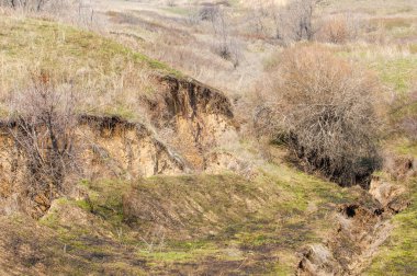 Yangından sonra bahar dağ geçidi