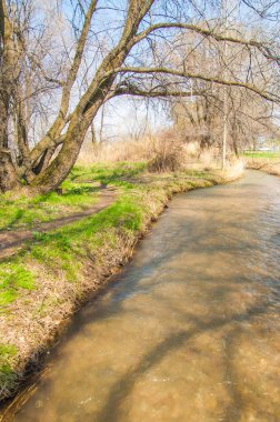 Karaağaç. Kayısı. Dere