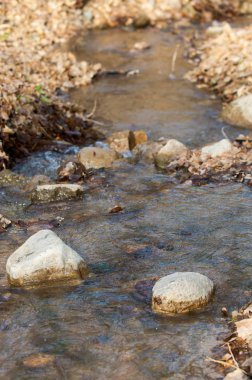 Spring Creek