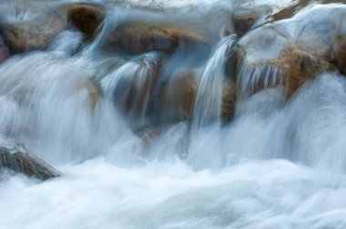 Spring Creek