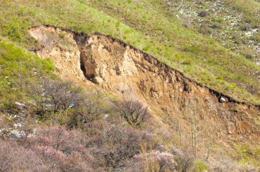 Kayısı çiçeği dağları