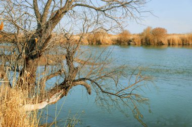 Bahar bozkırında nehir