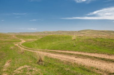 Spring Creek