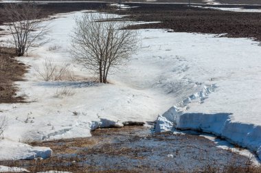 Baharın ilk günleri, geçen yılın karı, sular akar, yalnız bir ağaç.