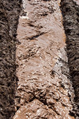 Baharın başlarında, eriyen sular kirlenir.