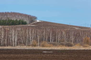 İlkbaharın başlarında tarla sürüldü, tepeler ormanla kaplandı, ağaçlar...