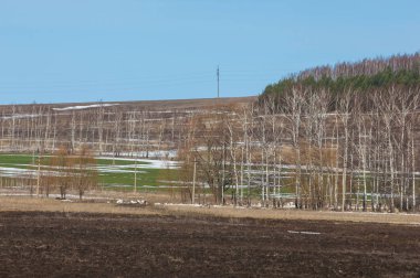 İlkbaharın başlarında tarla sürüldü, tepeler ormanla kaplandı, ağaçlar...