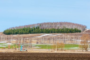 bahar aylarında tarla sürme, sallanan yağ (yağ pompası) huş ağacı çamı