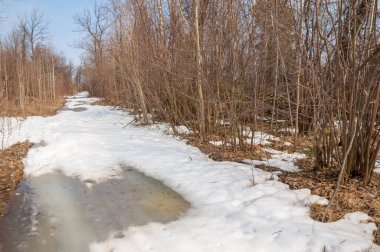 İlkbaharın başlarında ormandaki köy yolu.