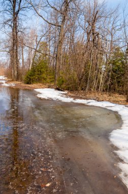 İlkbaharın başlarında ormandaki köy yolu.
