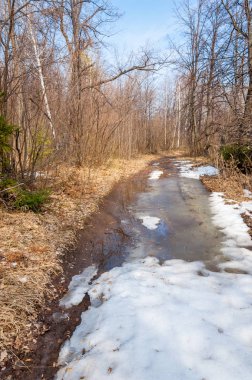 İlkbaharın başlarında ormandaki köy yolu.