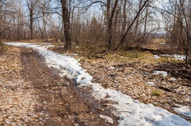 İlkbaharın başlarında ormandaki köy yolu.