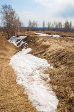 erken ilkbaharda, huş erken baharda, eski kar kalıntıları