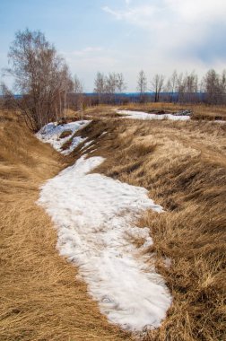 erken ilkbaharda, huş erken baharda, eski kar kalıntıları