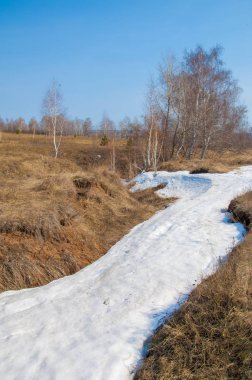 erken ilkbaharda, huş erken baharda, eski kar kalıntıları