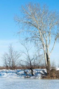 Donmuş gölün bahar. Bahar buz