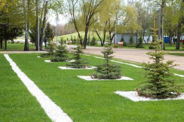 Arkaplan resminin dokusu, ilkbahar kentsel manzarası