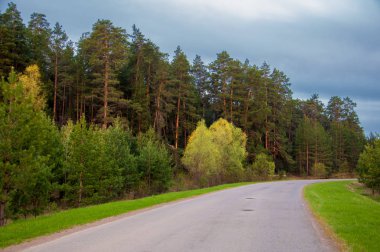 Bahar manzarası, gün doğumu. Bir köy yolu, kırsal bir arazi.
