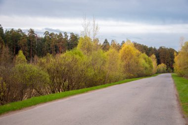 Bahar manzarası, gün doğumu. Bir köy yolu, kırsal bir arazi.