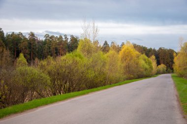 Bahar manzarası, gün doğumu. Bir köy yolu, kırsal bir arazi.