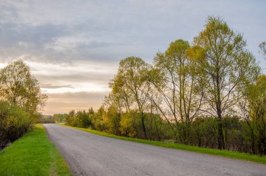 Bahar manzarası, gün doğumu. Bir köy yolu, kırsal bir arazi.