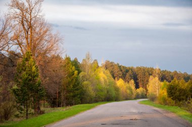 Bahar manzarası, gün doğumu. Bir köy yolu, kırsal bir arazi.