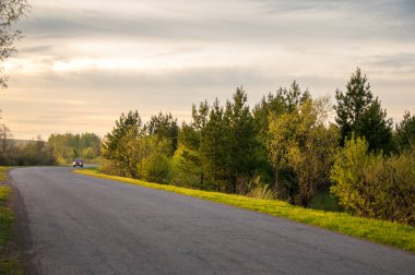Bahar manzarası, gün doğumu. Ağaçlı çayır, kırsal arazi