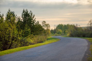 Bahar manzarası, gün doğumu. Ağaçlı çayır, kırsal arazi