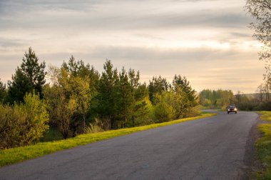 Bahar manzarası, gün doğumu. Ağaçlı çayır, kırsal arazi
