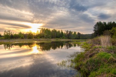 Bahar yemekleri. Bataklıklı güzel bir bahar manzarası, Sunr.
