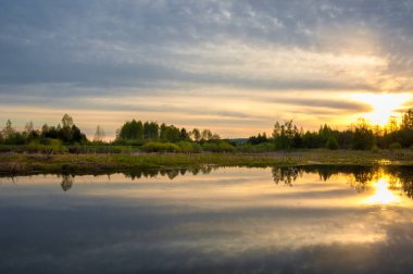 Bahar yemekleri. Bataklıklı güzel bir bahar manzarası, Sunr.