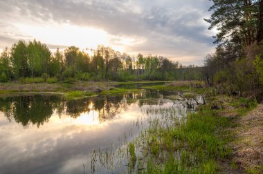 Bahar yemekleri. Bataklıklı güzel bir bahar manzarası, Sunr.
